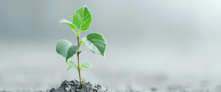 Blog 1 ACT coaching tarieven Utrecht