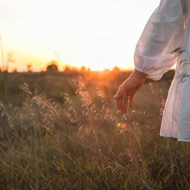 Blog 3 Hand touching grass at sunset